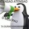 foto do perfil sousafadenho